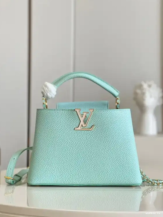 WIS BB VUITTON LOUIS CAPUCINES 0422